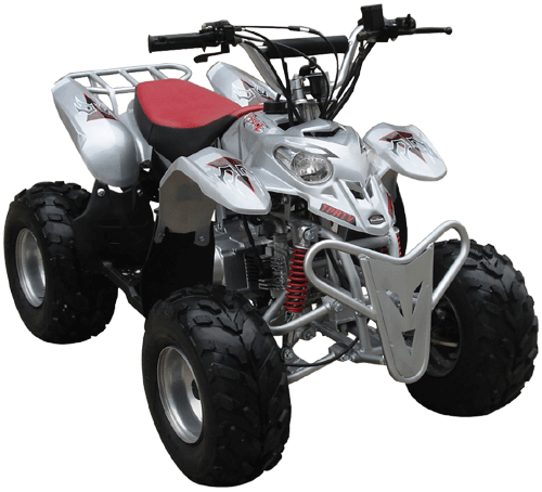 Peace Mini  Silver Sporty ATV (110cc Wider and Taller than ATV507S)  with Front hand/rear foot Brake