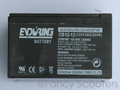 Eduring Battery (12V