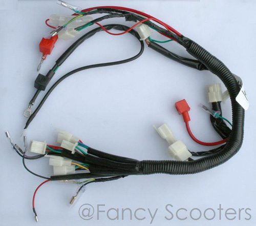 TPATV 501 /CPSC Whole Wire Harness (70cc to 110cc)