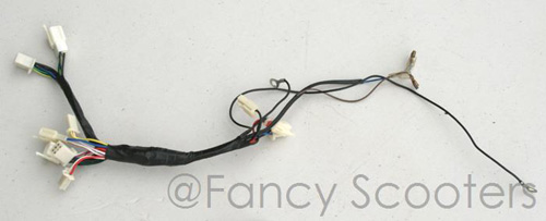 Whole Wire Harness for FB513 Chopper