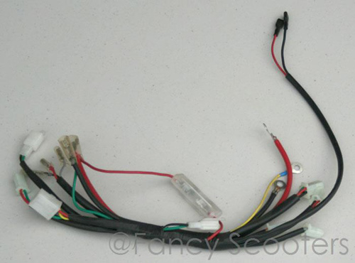 Whole Wire Harness for FY2008
