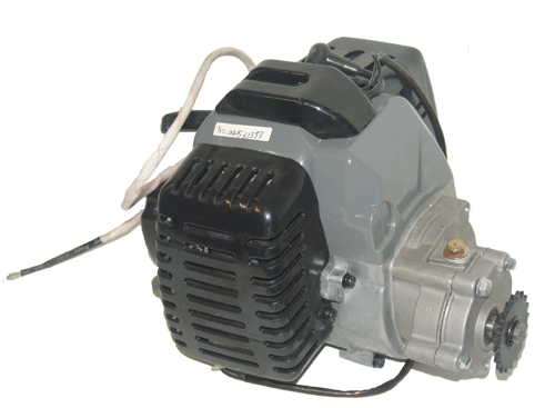 49cc 2-Stroke Whole Engine with Manifold